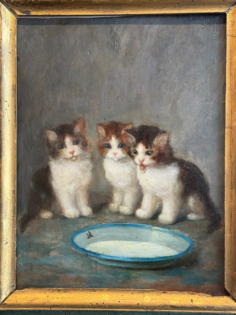Charmante scène animalière du XIXe siècle – Trois chatons autour d’une écuelle -photo-3