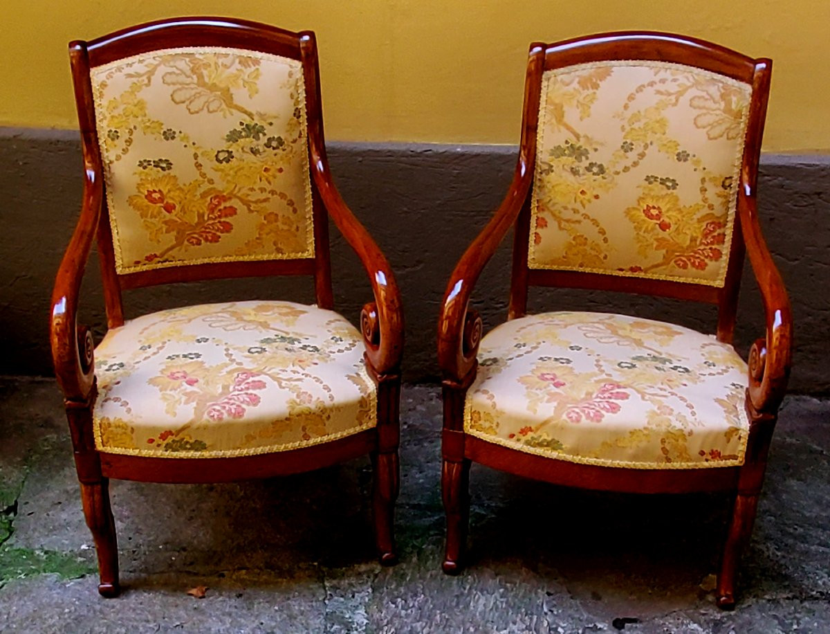 Antique Charles X-era Mahogany Armchairs, French-made. -photo-3