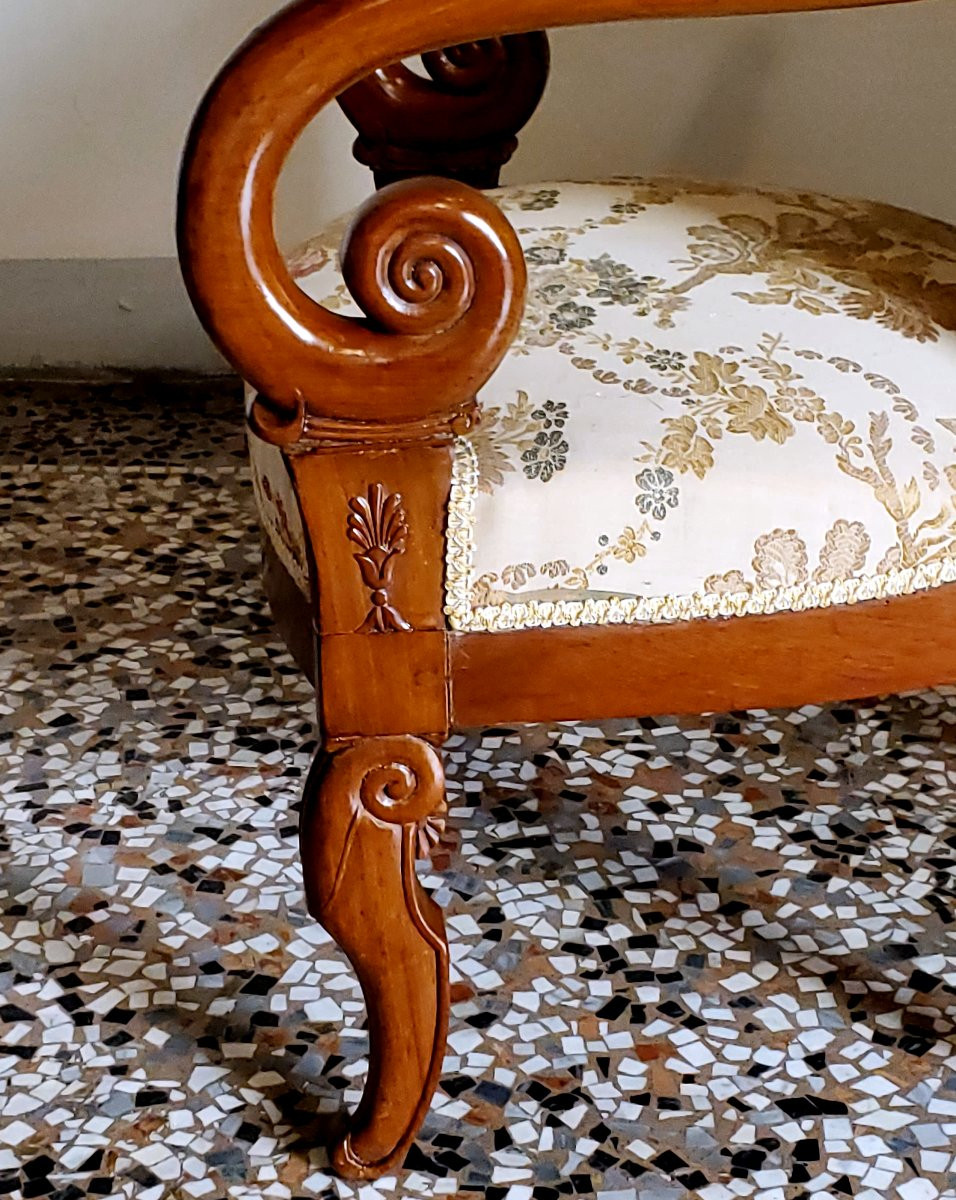 Antique Charles X-era Mahogany Armchairs, French-made. -photo-5