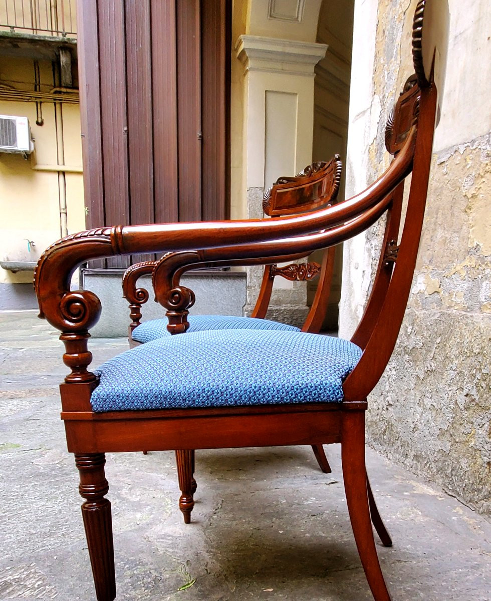 Antique Charles X Armchairs In Rosewood, Made In Italy-photo-8