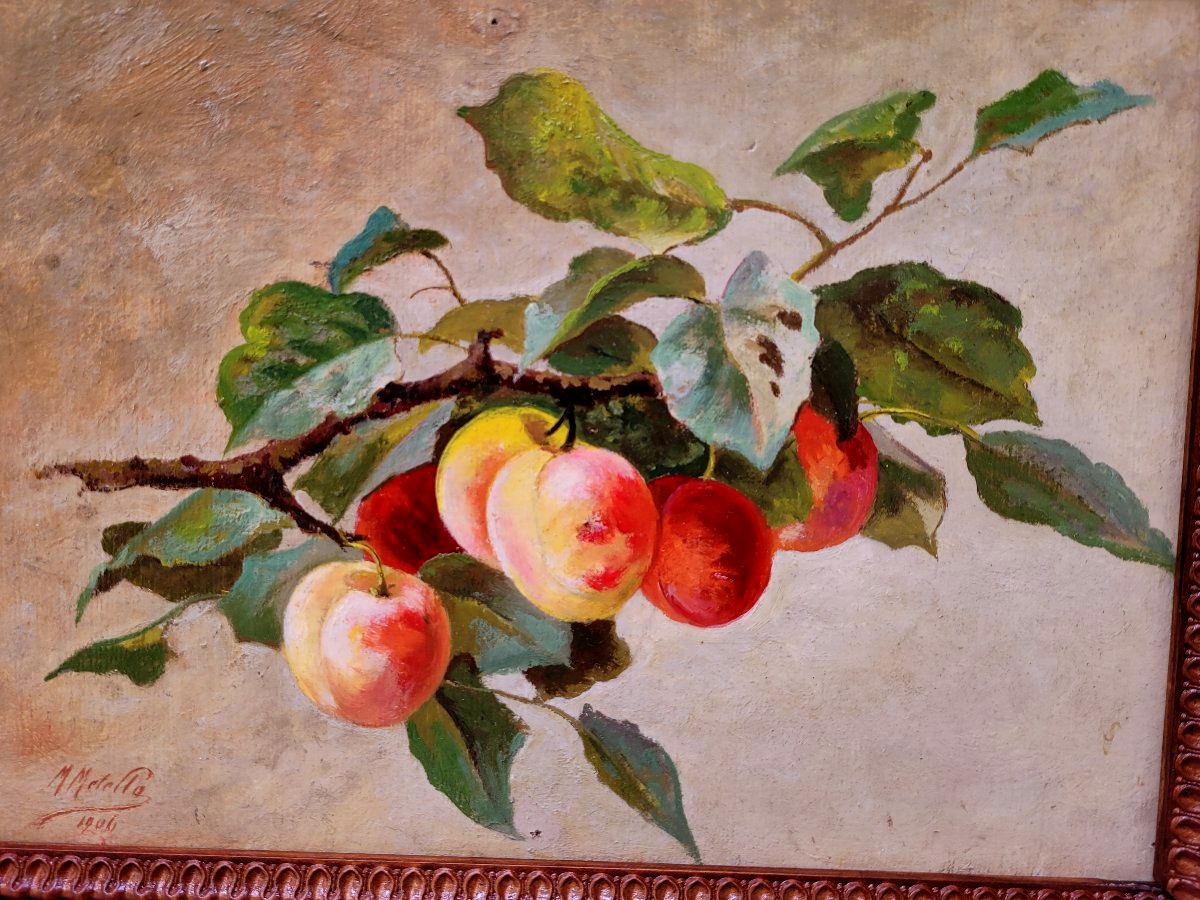 Still Life Painting By Metello Merlo-photo-1