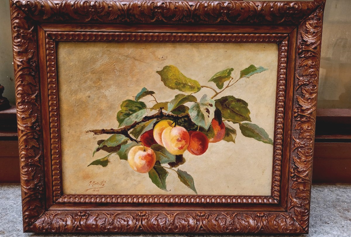 Still Life Painting By Metello Merlo