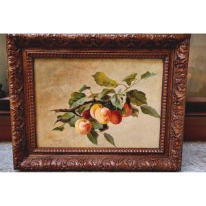 Still Life Painting By Metello Merlo