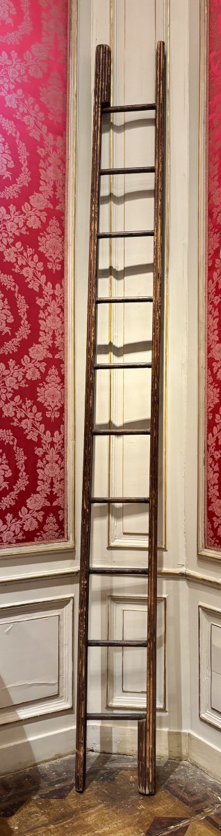 Râre échelle de bibliothèque du dix-huitième siècle
