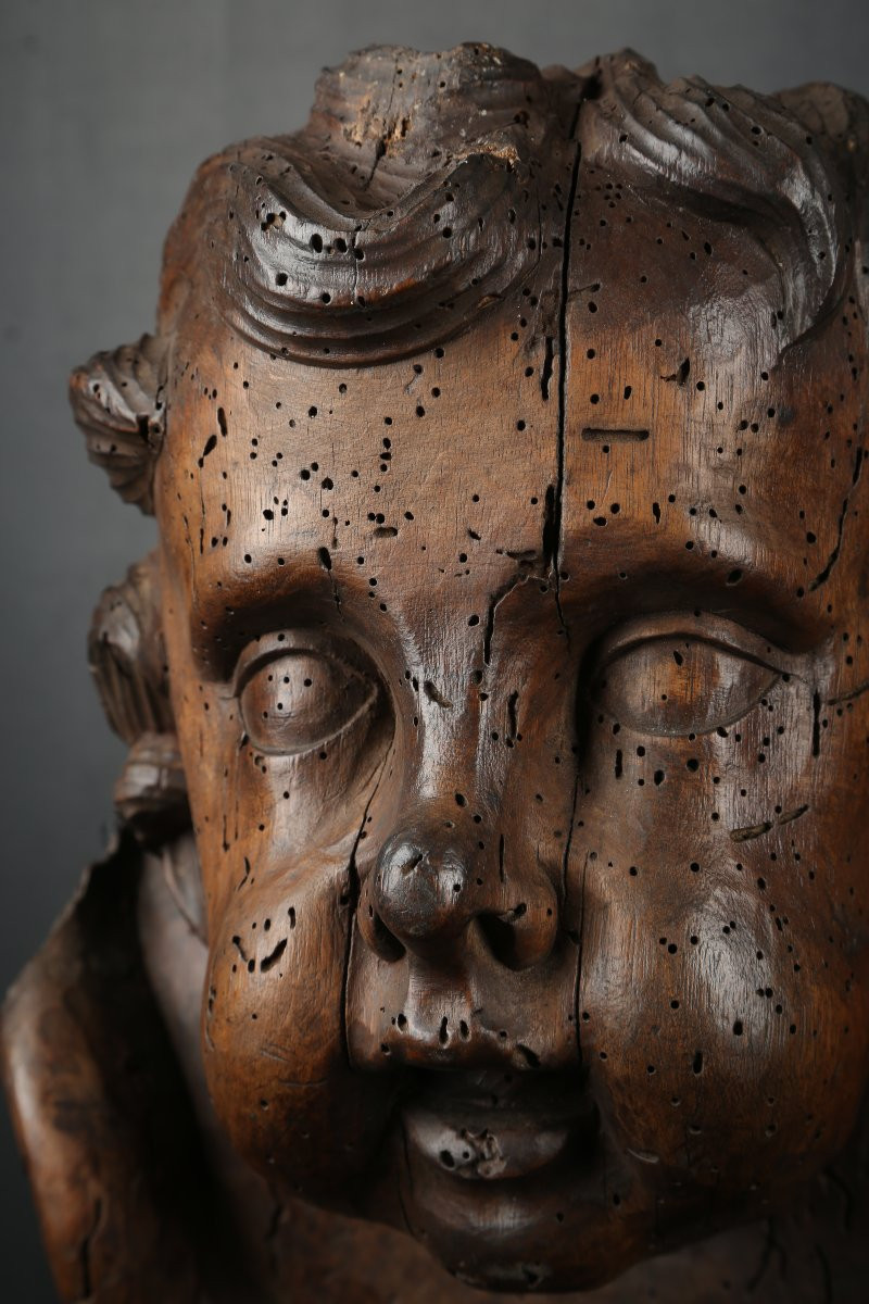 Paire de têtes d'anges en bois sculpté - Flandres 17e siècle-photo-5