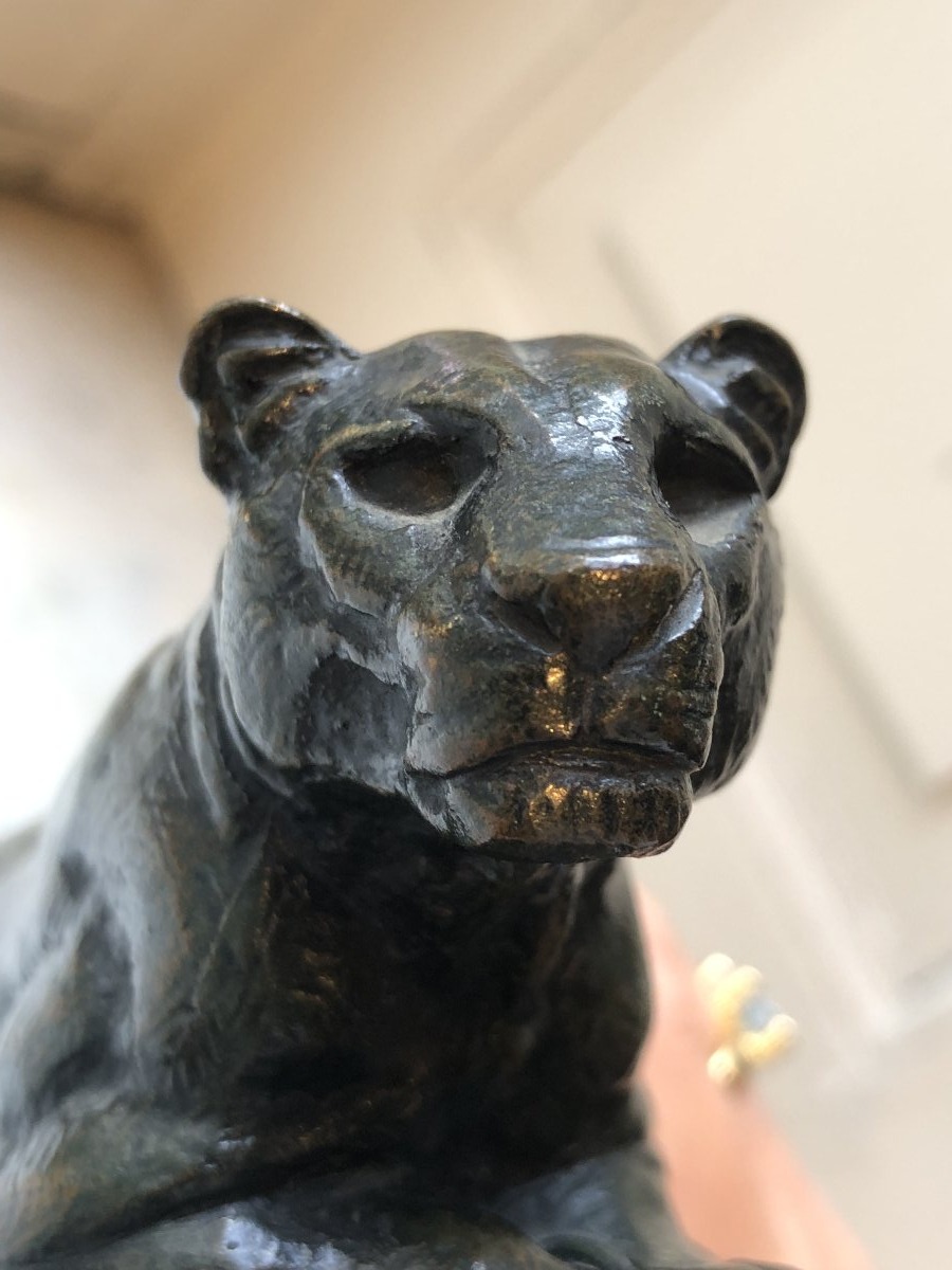 Bronze animalier d'Antoine-Louis Barye, lionne au repos-photo-3
