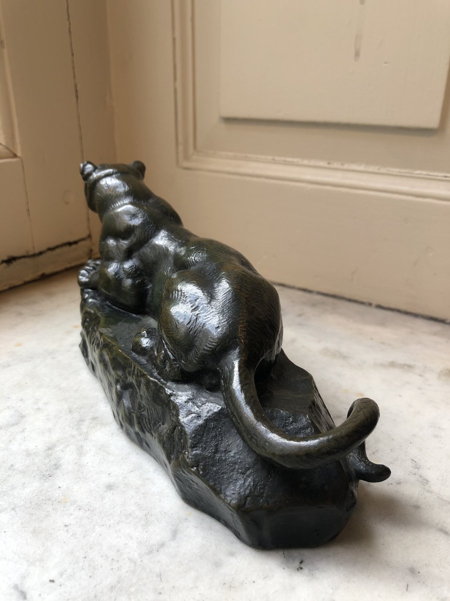 Bronze animalier d'Antoine-Louis Barye, lionne au repos-photo-4
