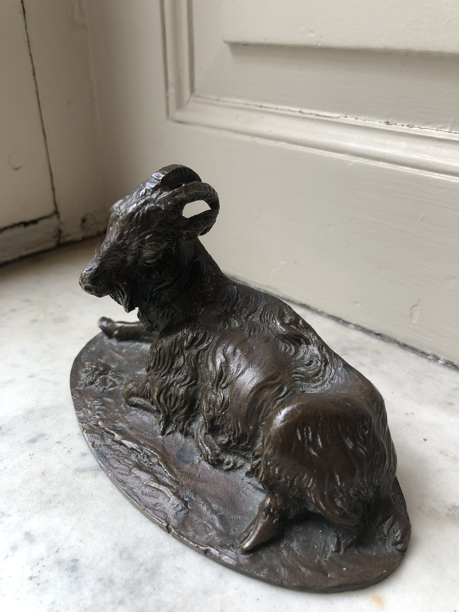 Petit bronze animalier d'un bouc couché-photo-2
