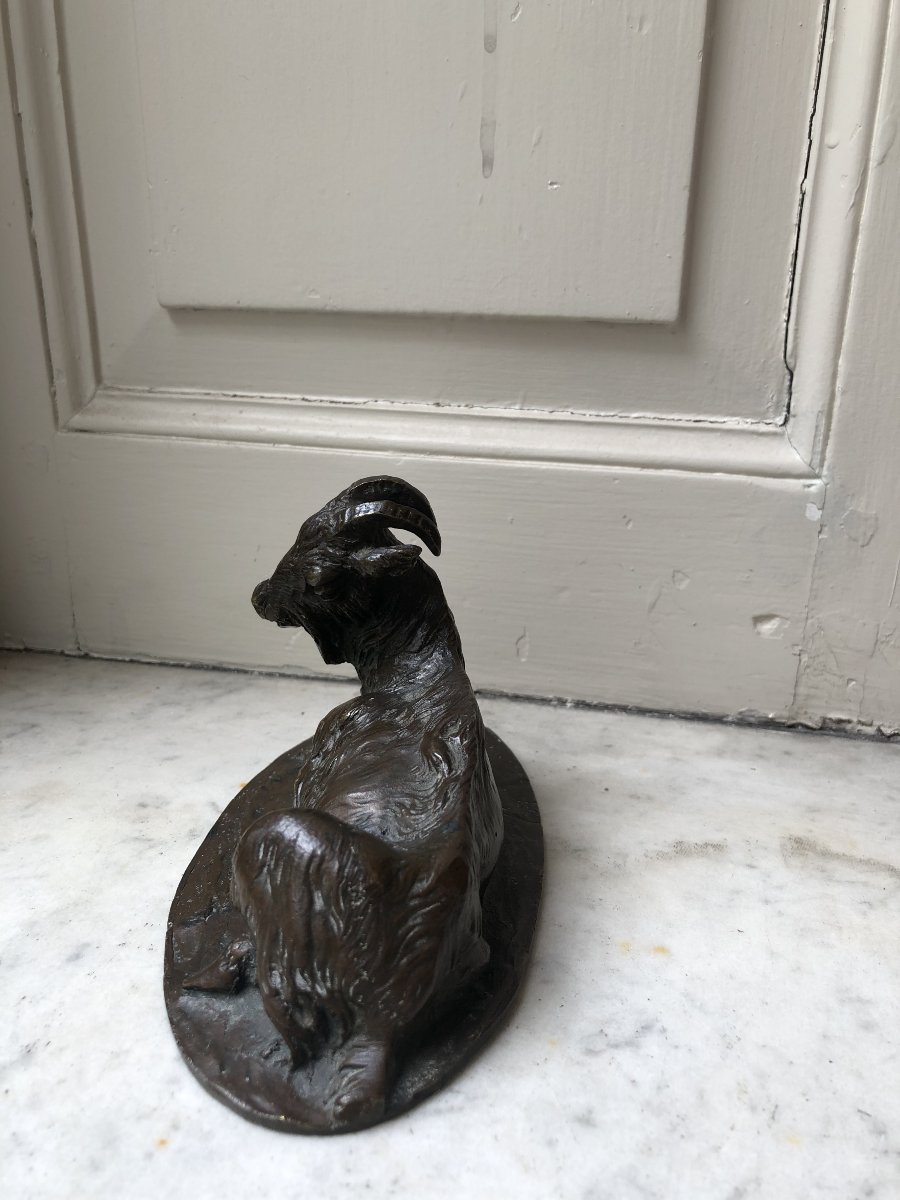 Petit bronze animalier d'un bouc couché-photo-3