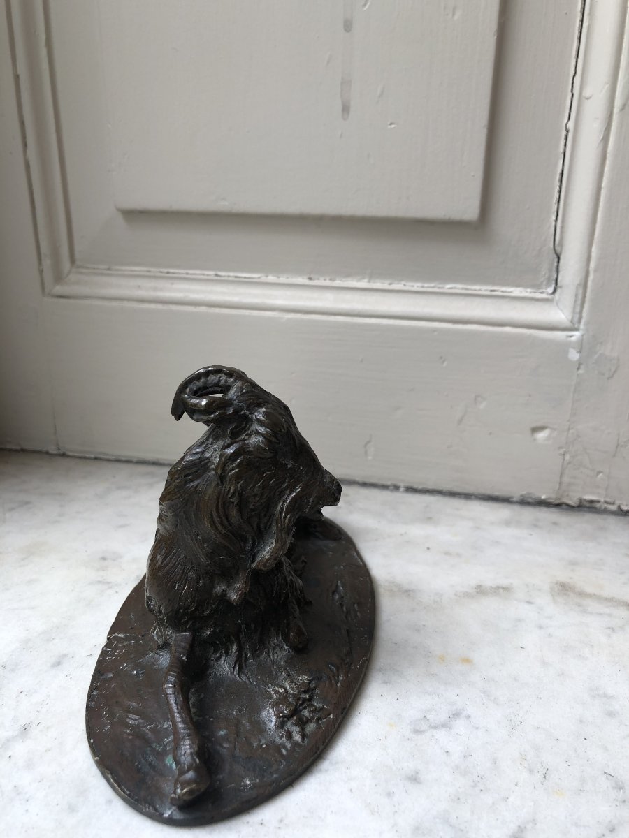 Petit bronze animalier d'un bouc couché-photo-4