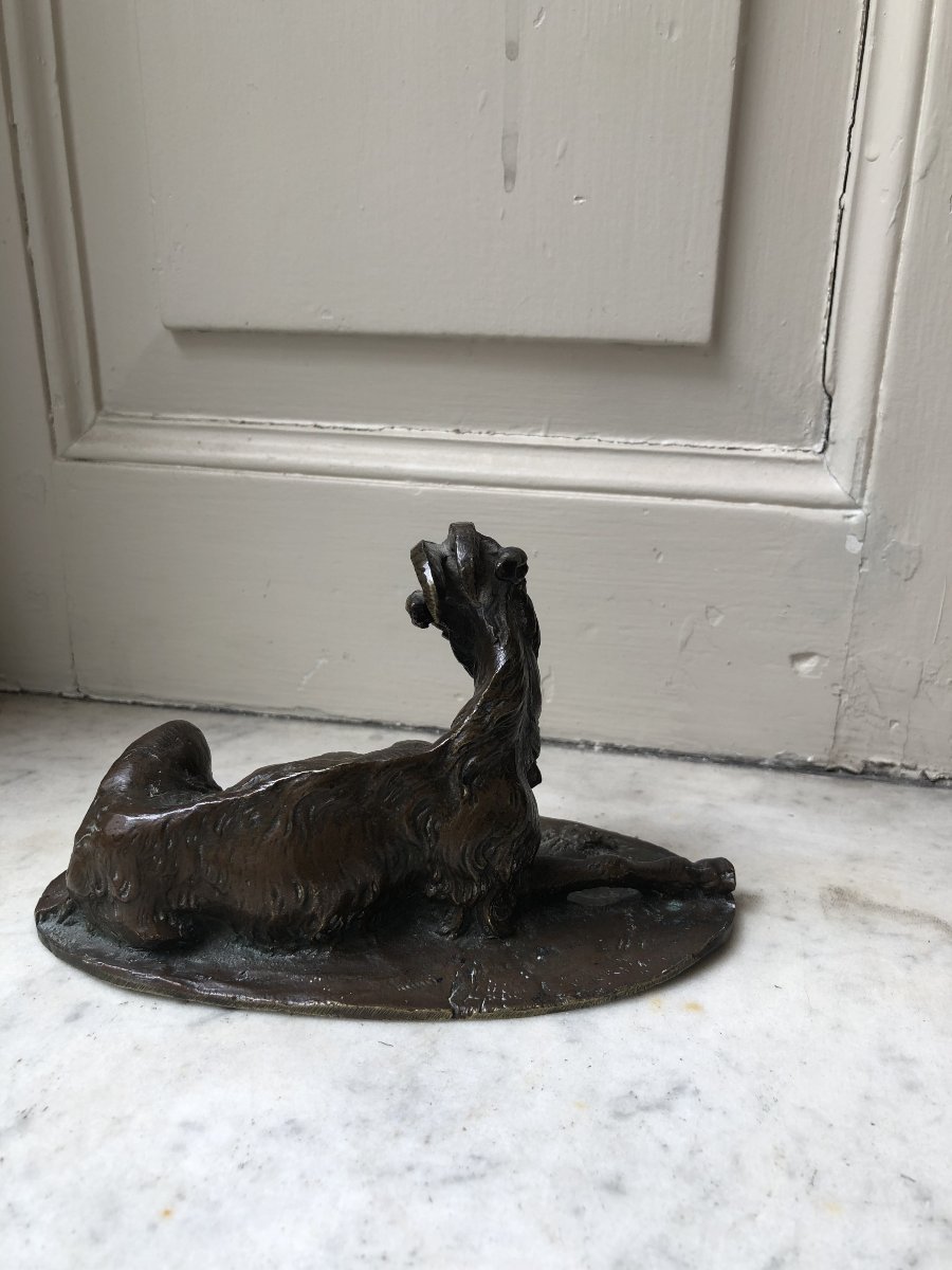 Petit bronze animalier d'un bouc couché-photo-2