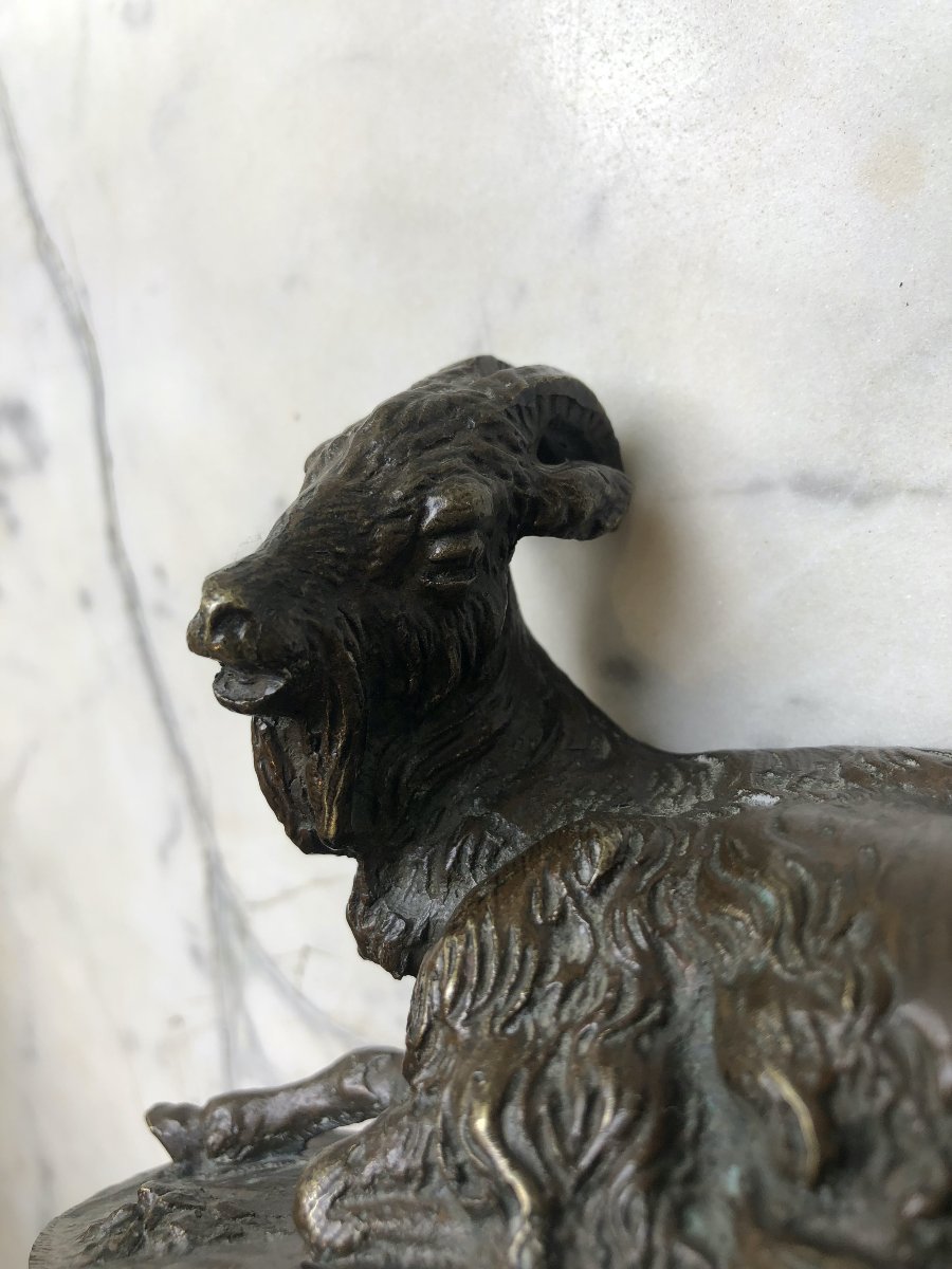 Petit bronze animalier d'un bouc couché-photo-3