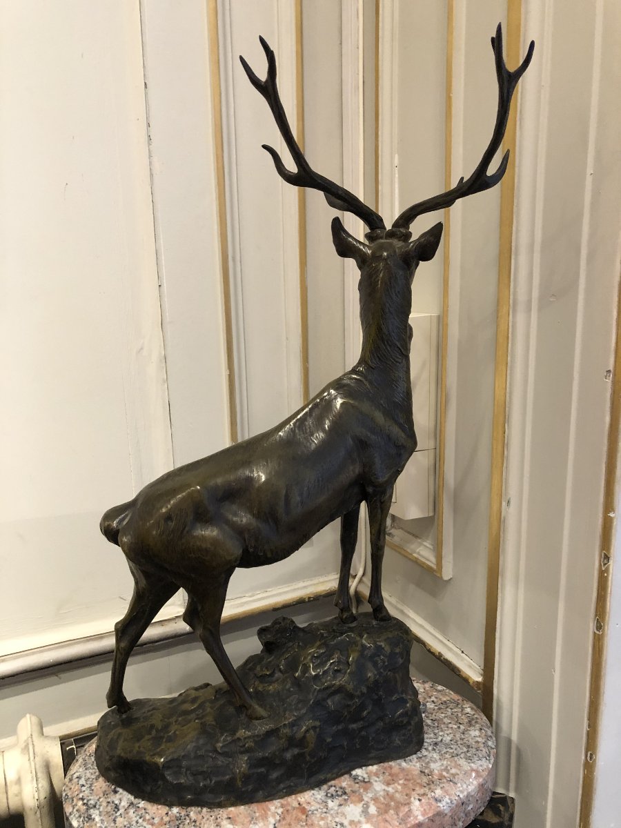 Maximilien Fiot (1856–1953), Deer On The Lookout-photo-3