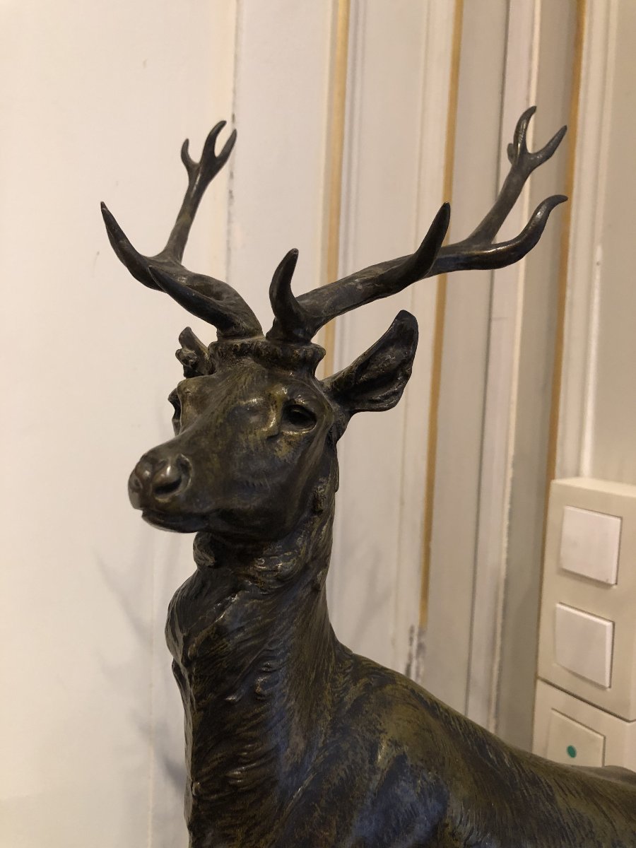 Maximilien Fiot (1856–1953), Deer On The Lookout-photo-4