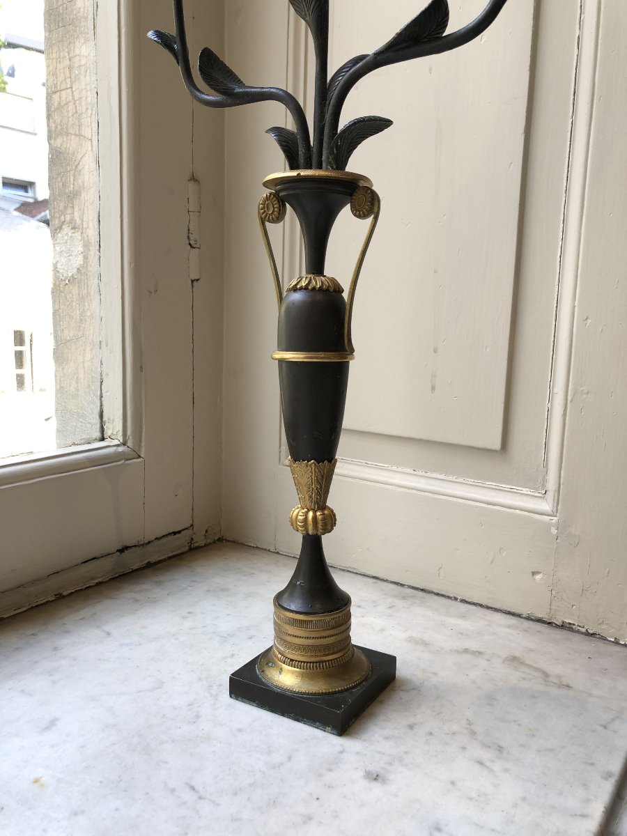 Pair Of Two-armed Bronze Candelabra With A Double Patina, Amphora-shaped-photo-3