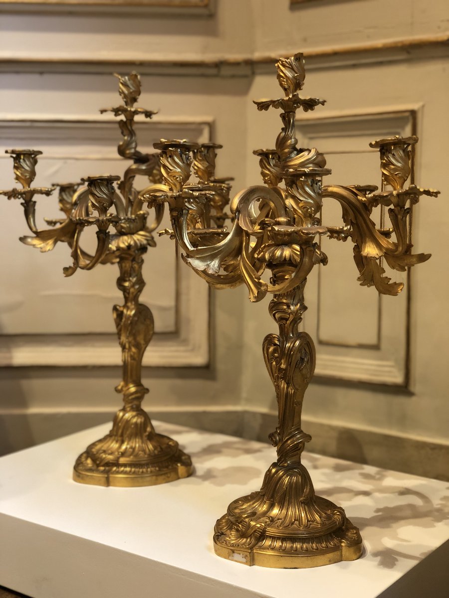Paire de candélabres de style Louis XV à 7 bras de lumière 