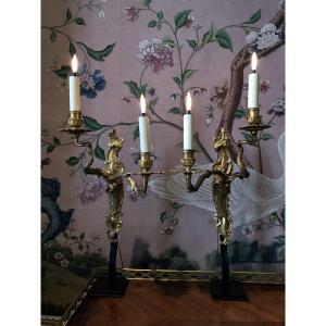 Pair Of 18th-century Gilded Bronze Wall Sconces Mounted On A Base