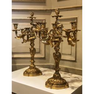 Paire de candélabres de style Louis XV à 7 bras de lumière