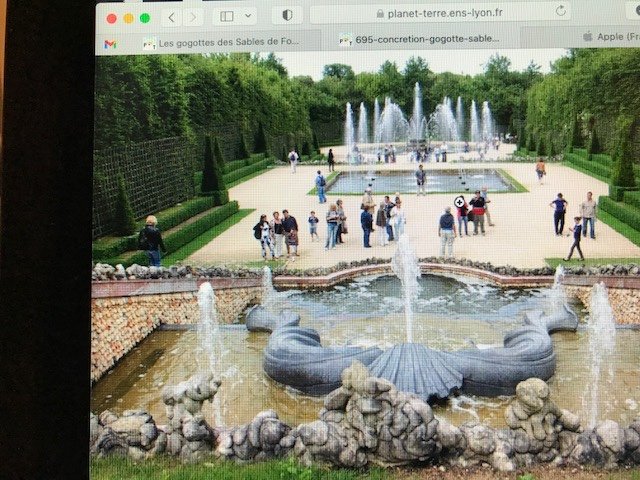 Gogotte De La Forêt De Fontainebleau  (-300 000 Ans)-photo-6