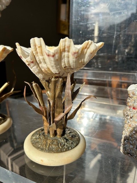 Curious Pair Of Cassolettes In Bronze And Shells, 19th Century Period-photo-2