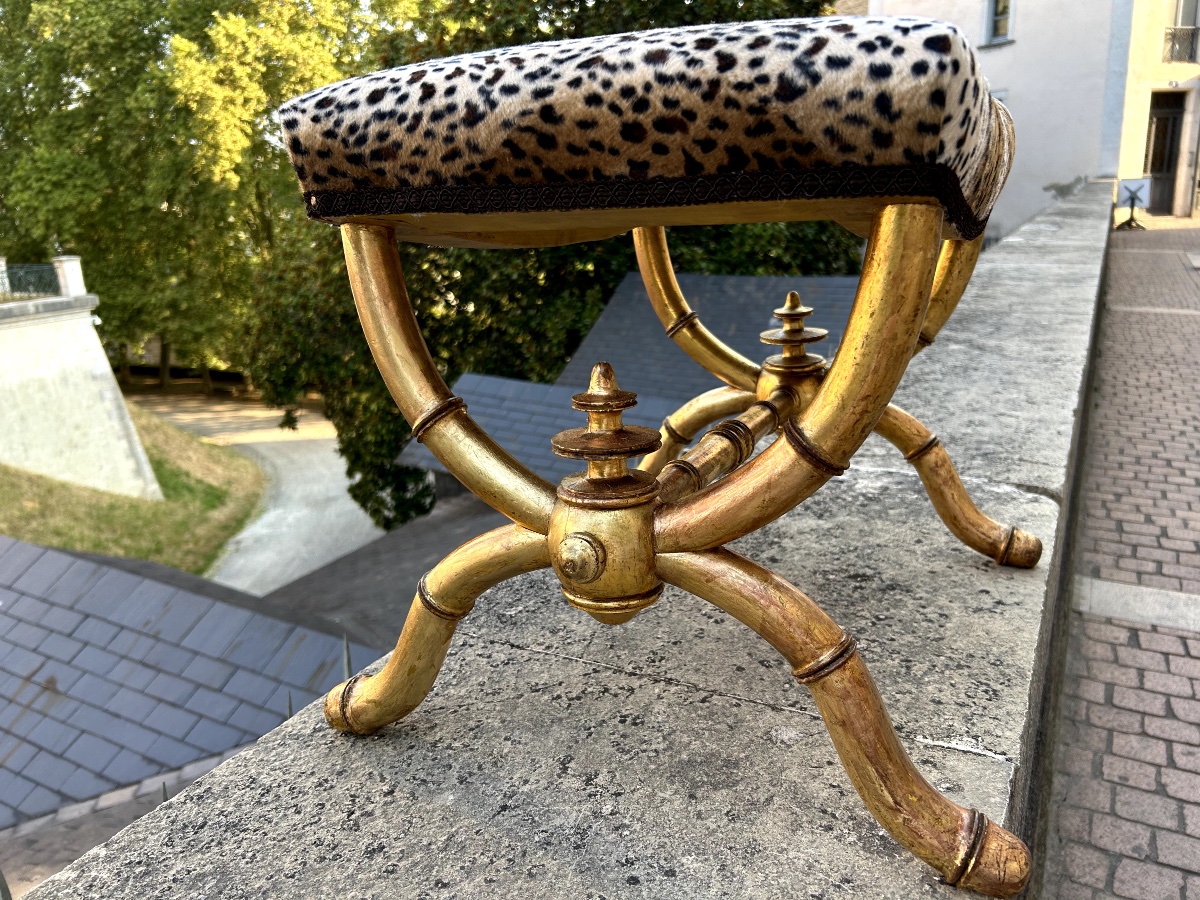 Gilded Wooden Curule Chair With Bamboo-style Turned Legs, Late 19th Century-photo-3