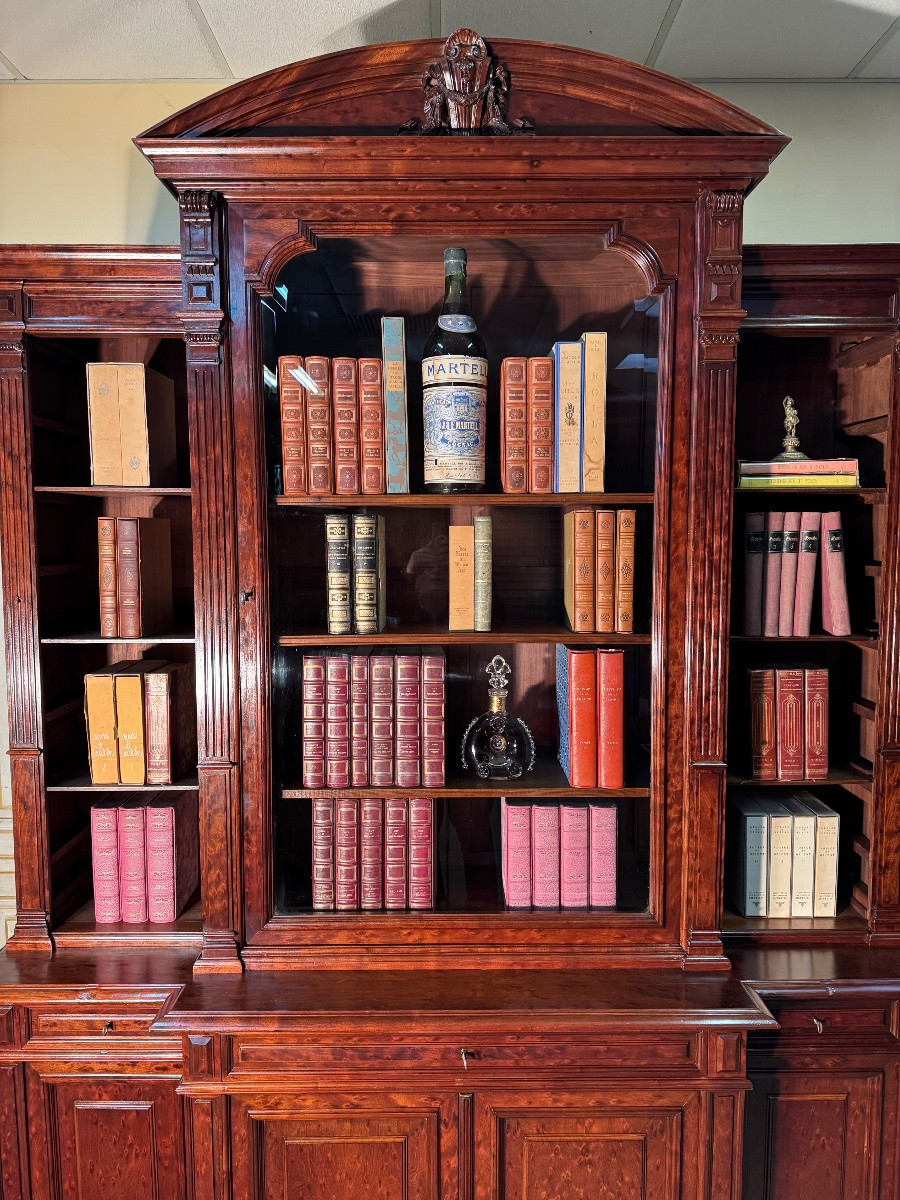 Large 19th Century Speckled Mahogany Bookcase -photo-4