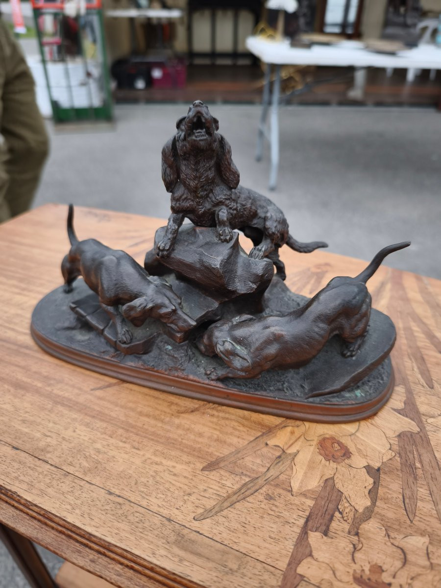 Jules Moigniez Animal Bronze, 19th Century -photo-2