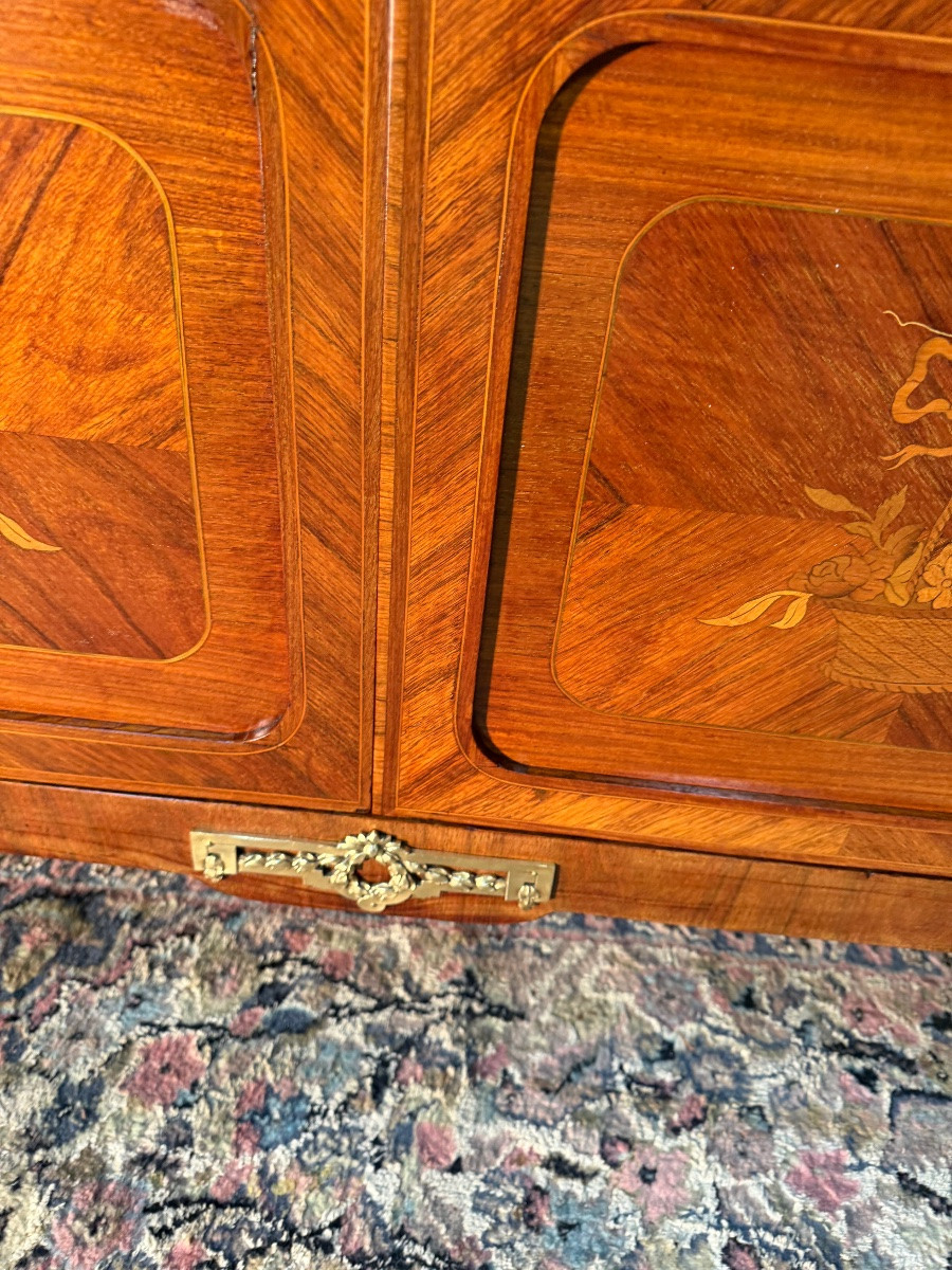 Louis XVI Style Library -photo-4