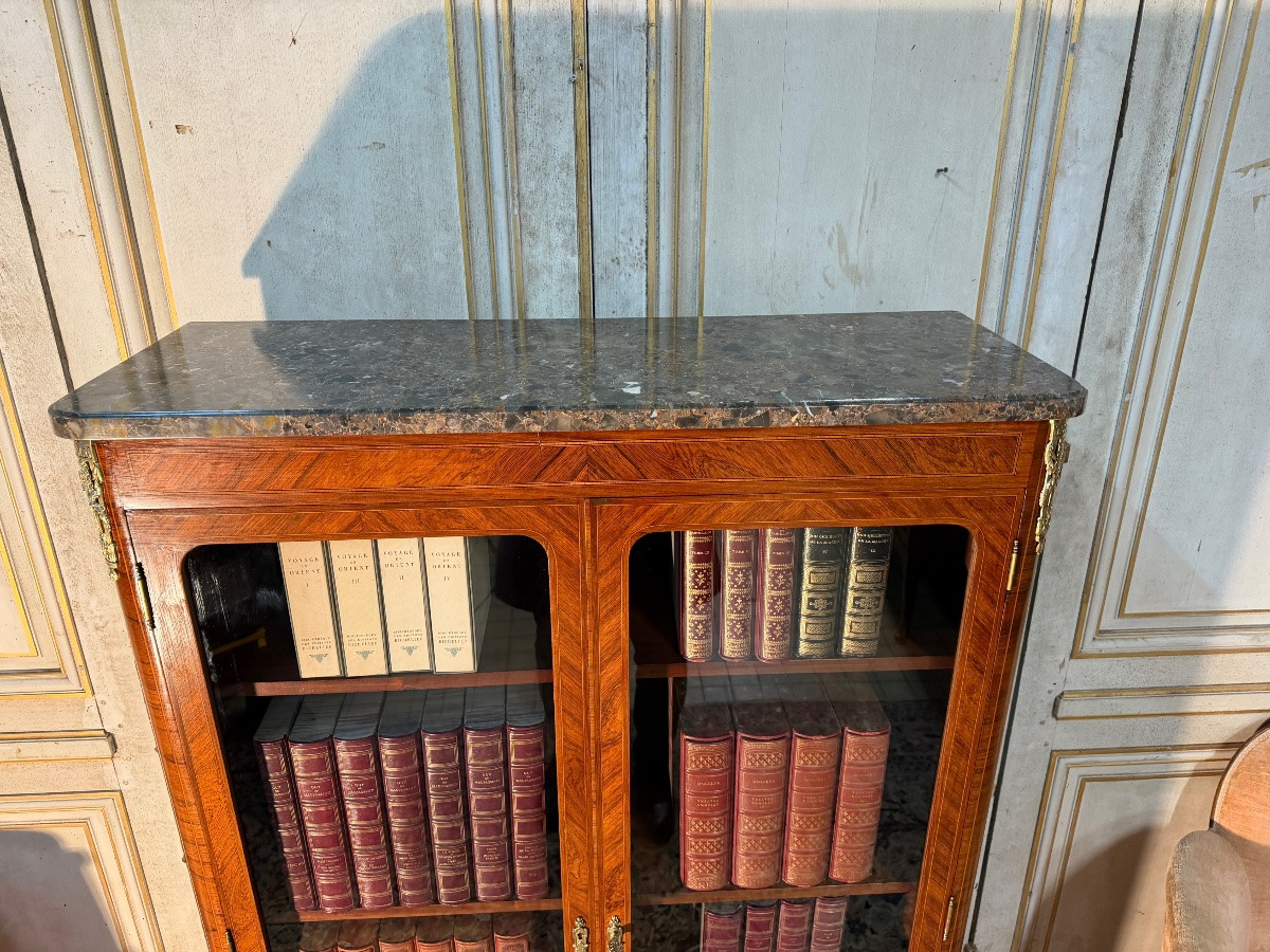 Louis XVI Style Library -photo-3