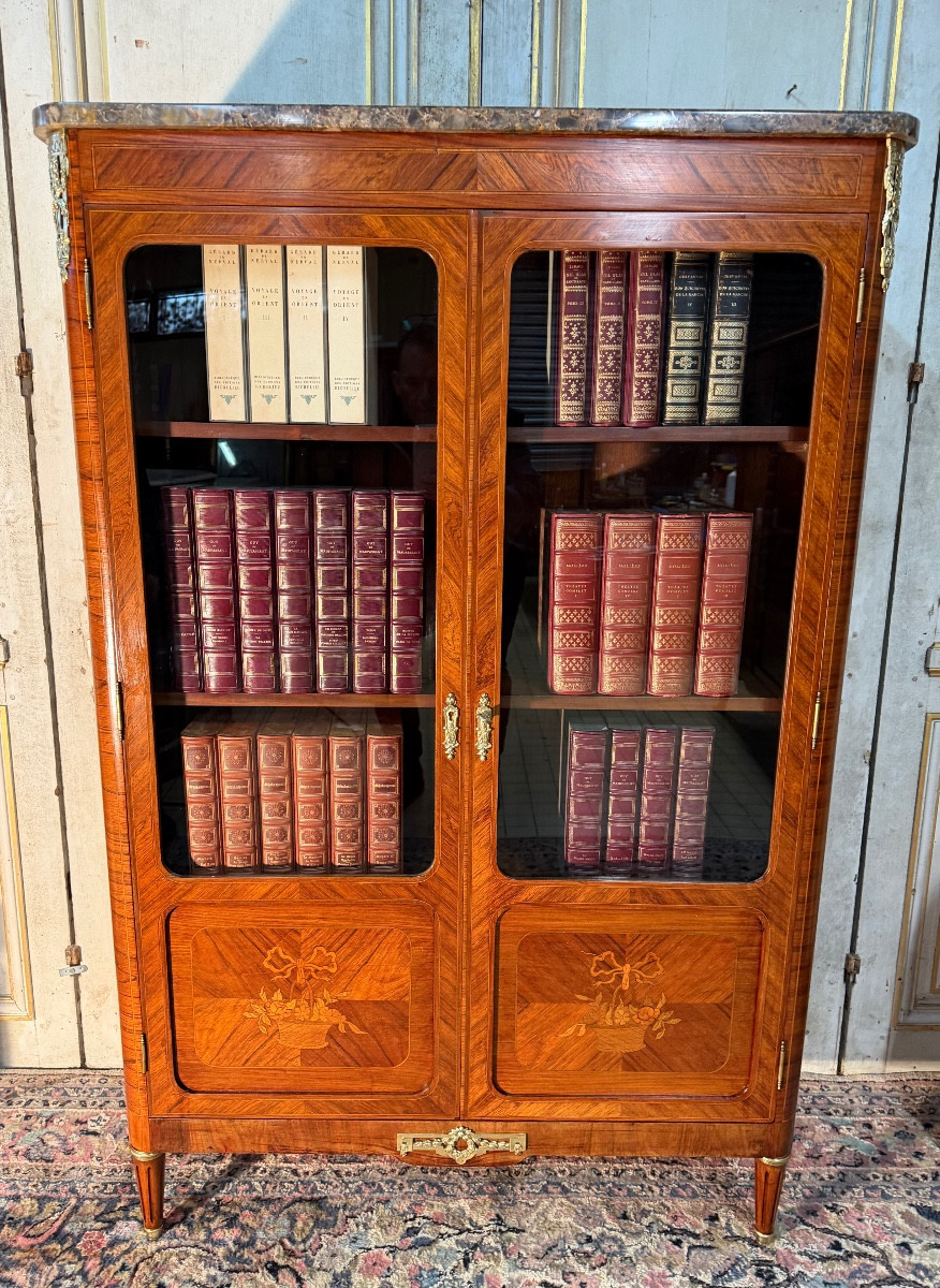 Louis XVI Style Library 