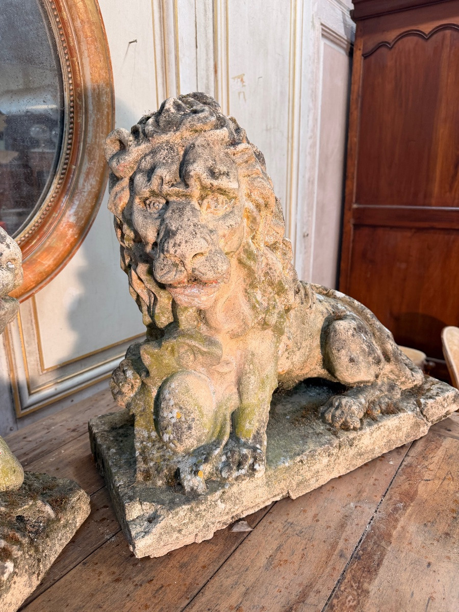 Paire de lions ancien -photo-4