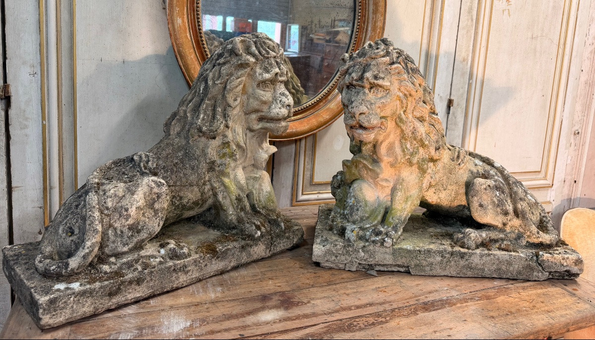 Paire de lions ancien -photo-2