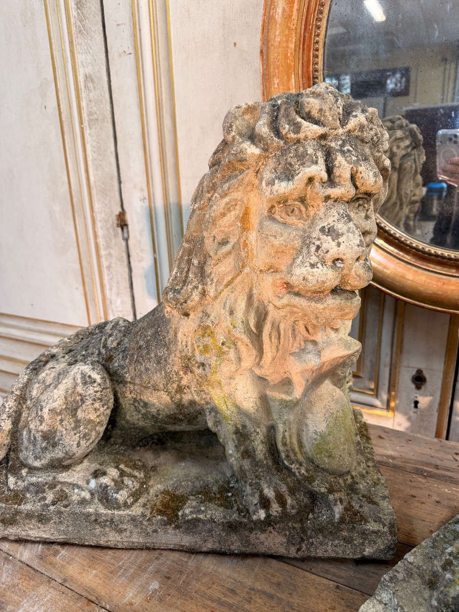 Paire de lions ancien -photo-3