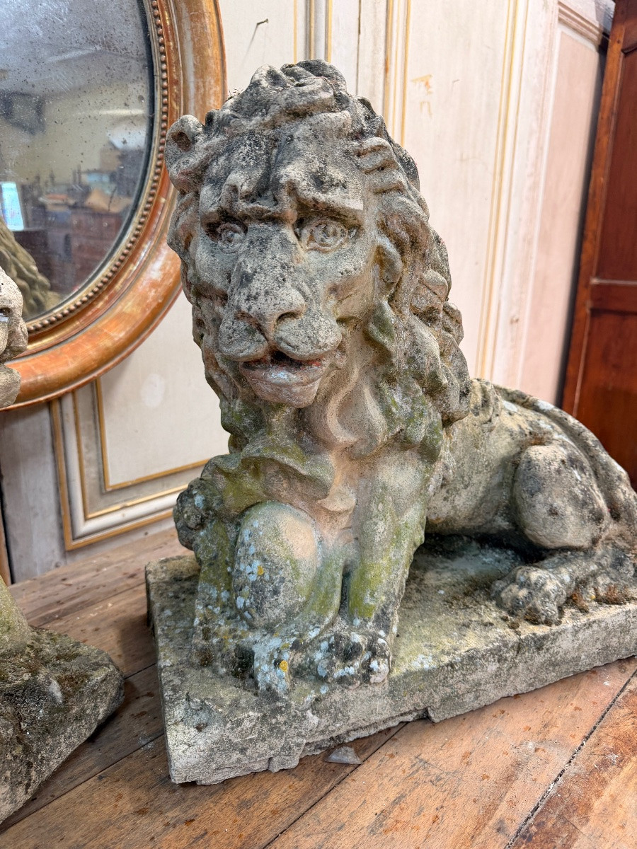 Paire de lions ancien -photo-4