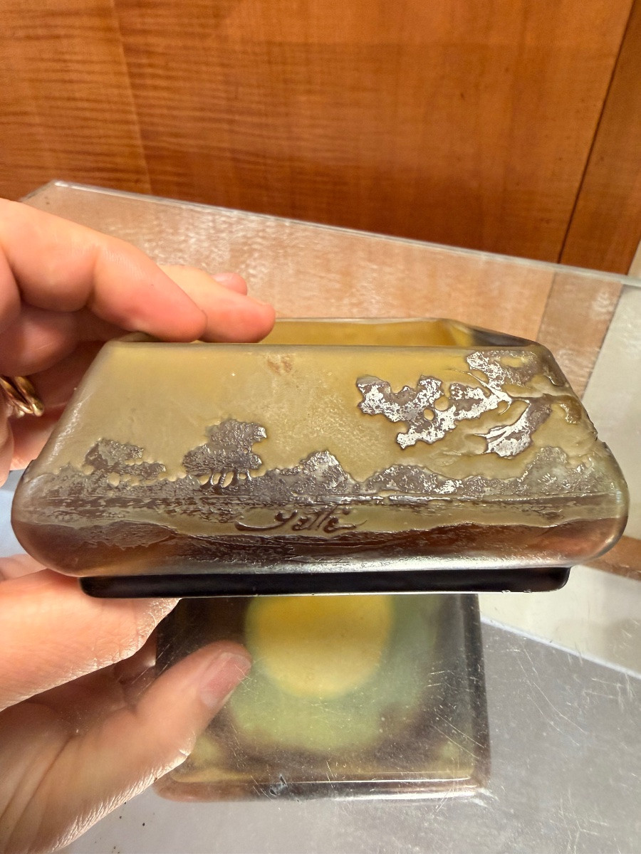 émile Gallé Glass Paste Box With Art Nouveau Butterfly Decoration-photo-4