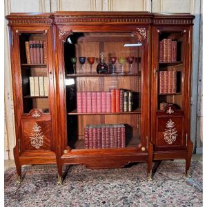 Bibliothèque Napoléon 3 Acajou , Bronzes  Et Laiton 