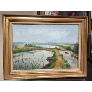 Louis suire HSP réserve naturelle proche des portes en ré