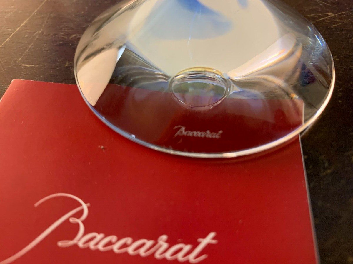 COUPE VEGA BACCARAT-photo-2
