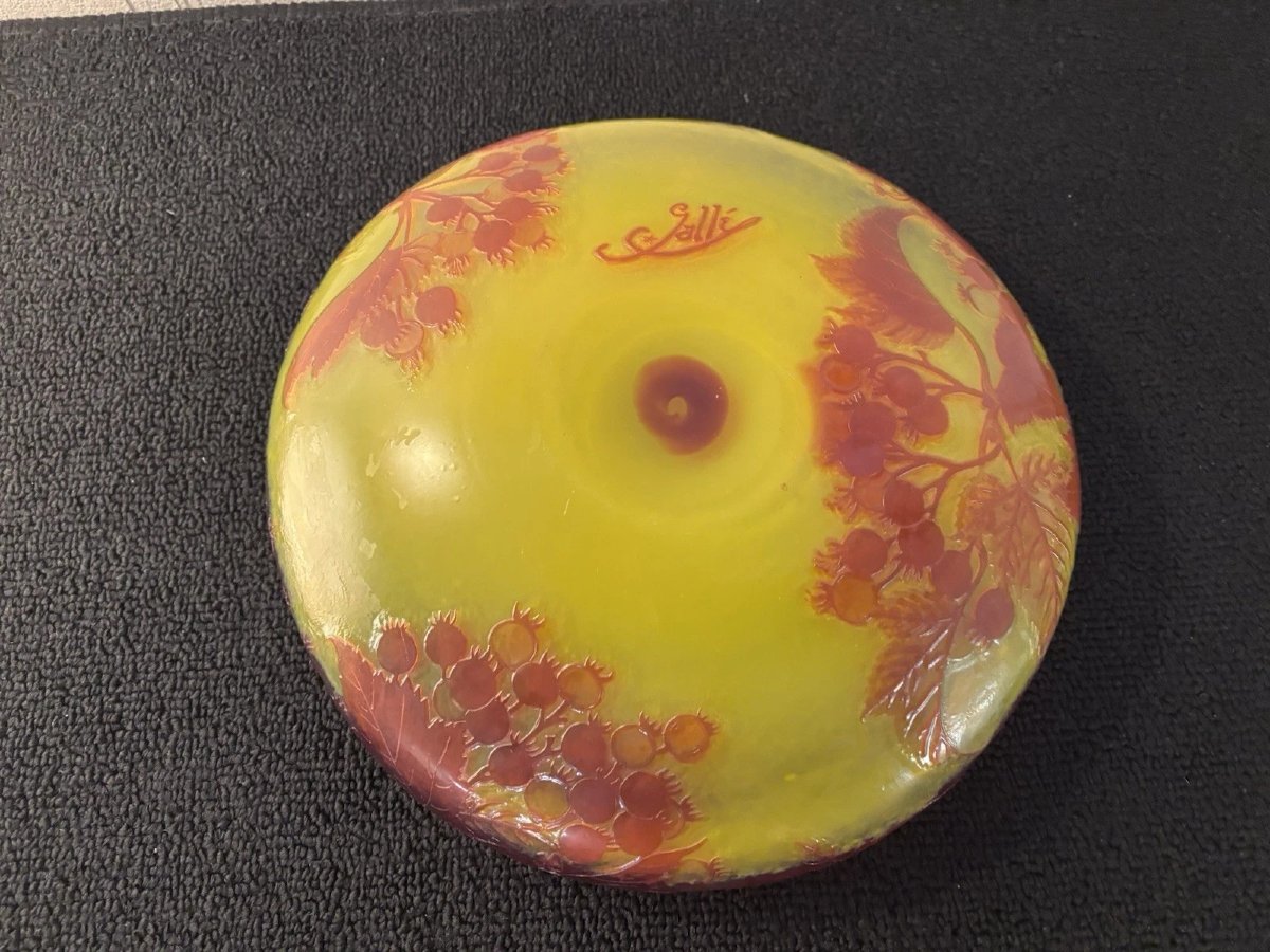 COUPE CENTRE DE TABLE Etablissements GALLE SIGNE A L ETOILE-photo-3