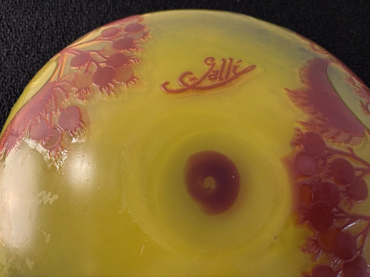 Gallé Establishments Centerpiece Bowl Signed With The Star-photo-2