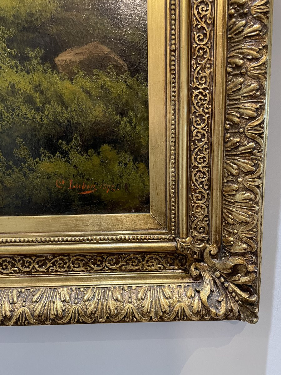 C. Lubin - Austria - Large Oil On Canvas - 1892-photo-4