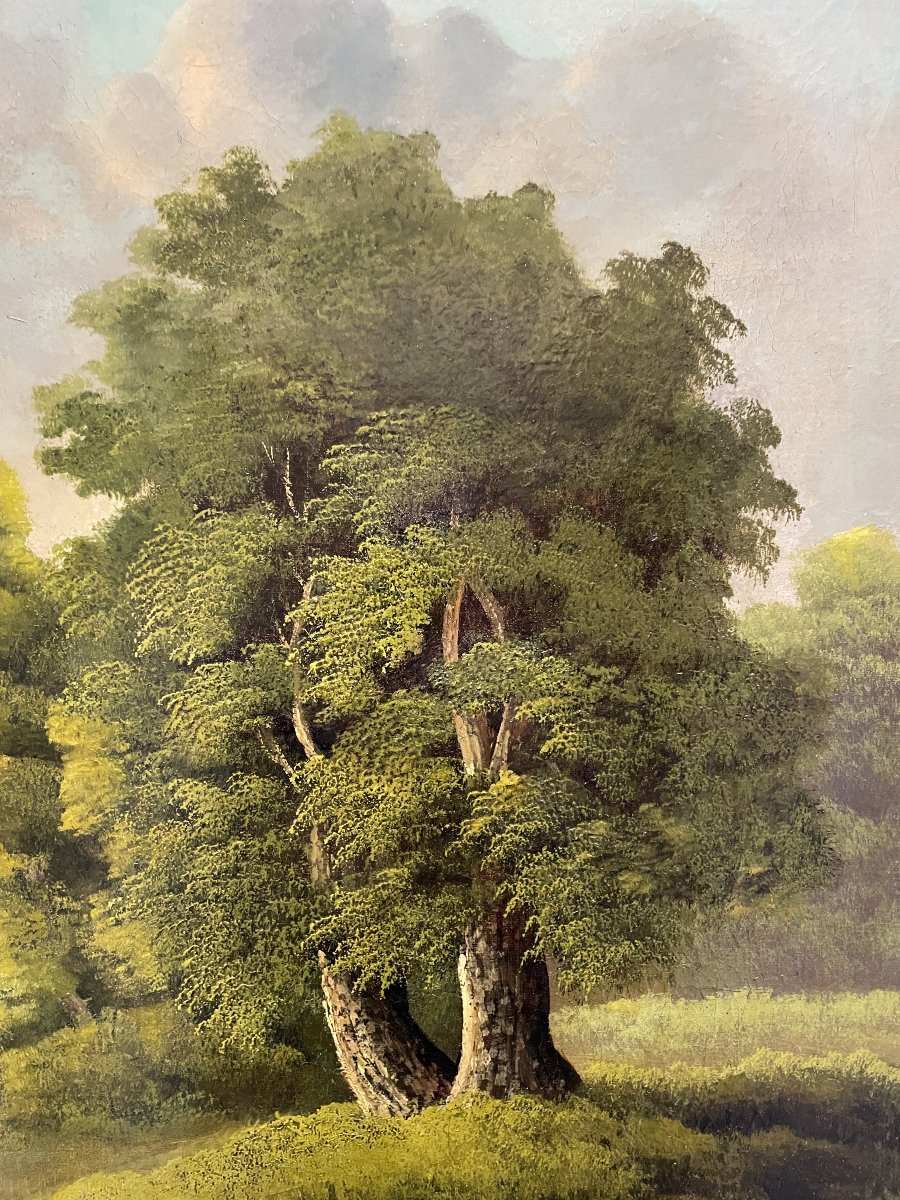 C. Lubin - Austria - Large Oil On Canvas - 1892-photo-3