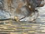 1806124-alb-6a774e5ad9a5f.jpg