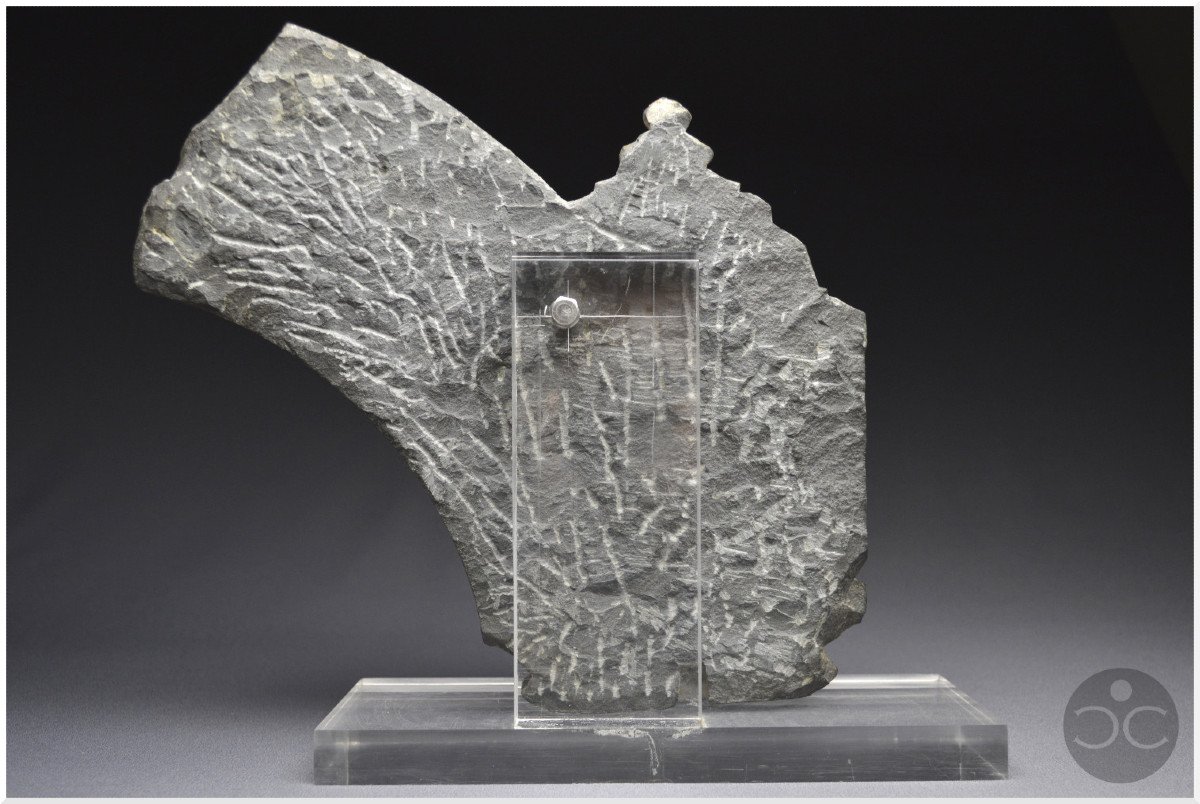 India, 15th Century, Fragment Of Arch Representing Mother Goddesses Saptamatrika, Grey  Stone-photo-3