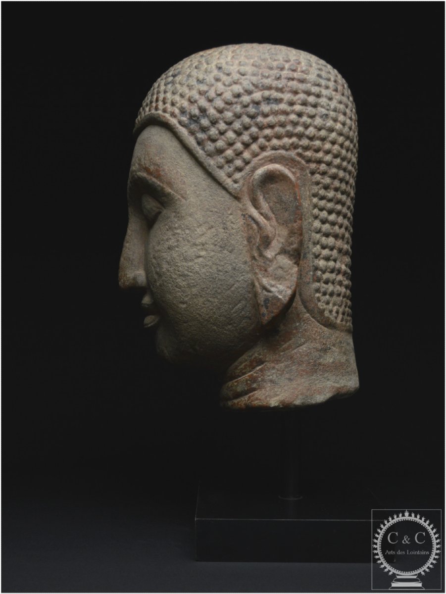 Ancien Royaume de Siam, École d’Ayutthaya, XVè -XVIè siècle, Grande tête de Bouddha en pierre-photo-2