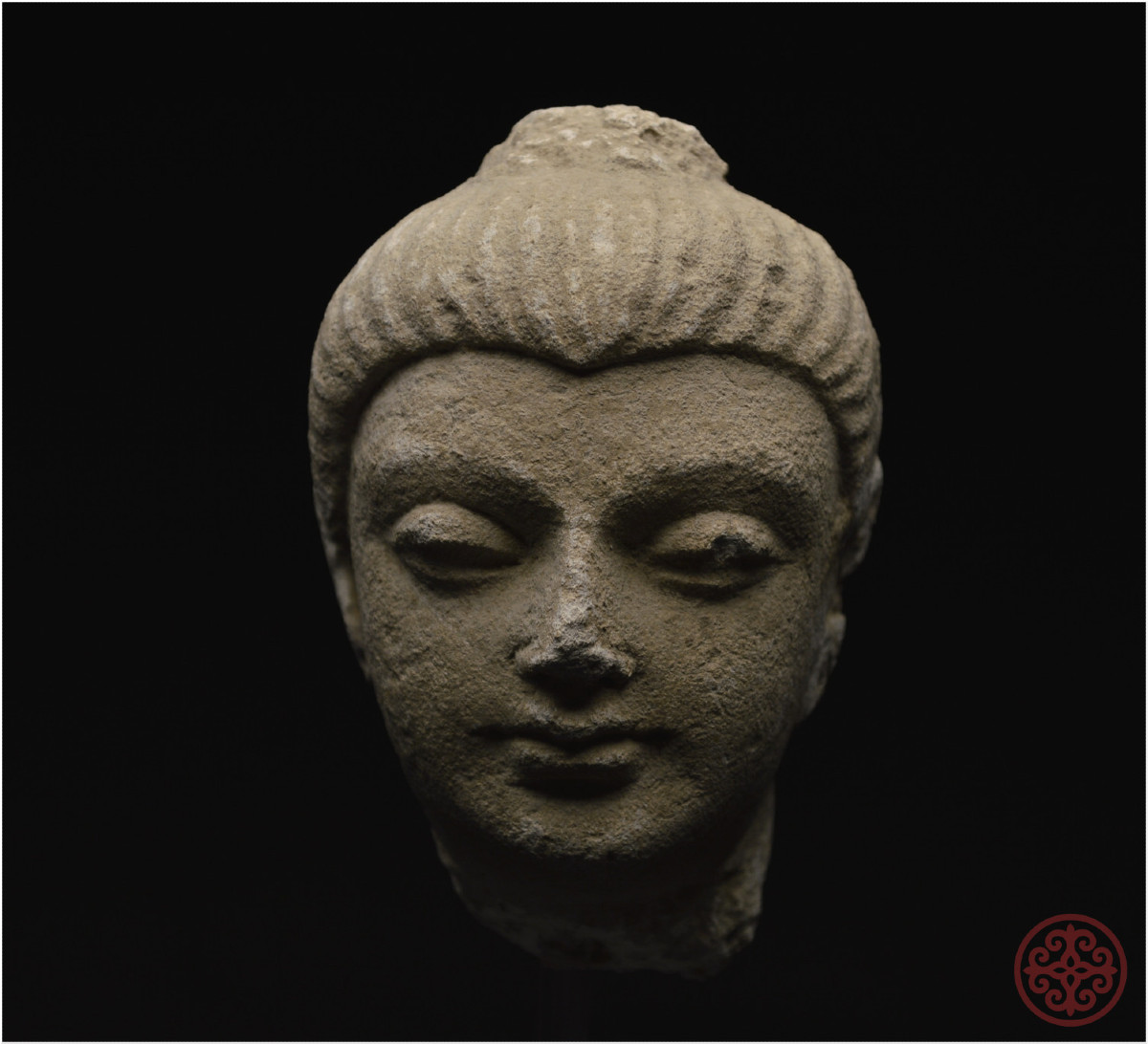 Afghanistan/pakistan, Gandhara Region, 2nd-4th Century Ad, Stucco Buddha Head-photo-6
