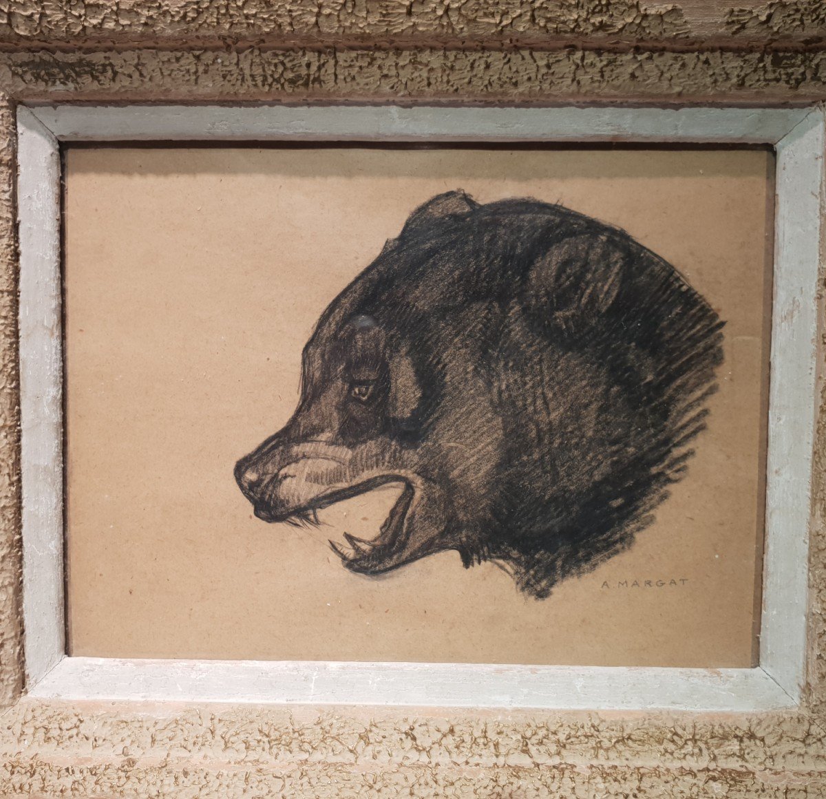 Animal Charcoal Drawing Bear By André Margat.-photo-2