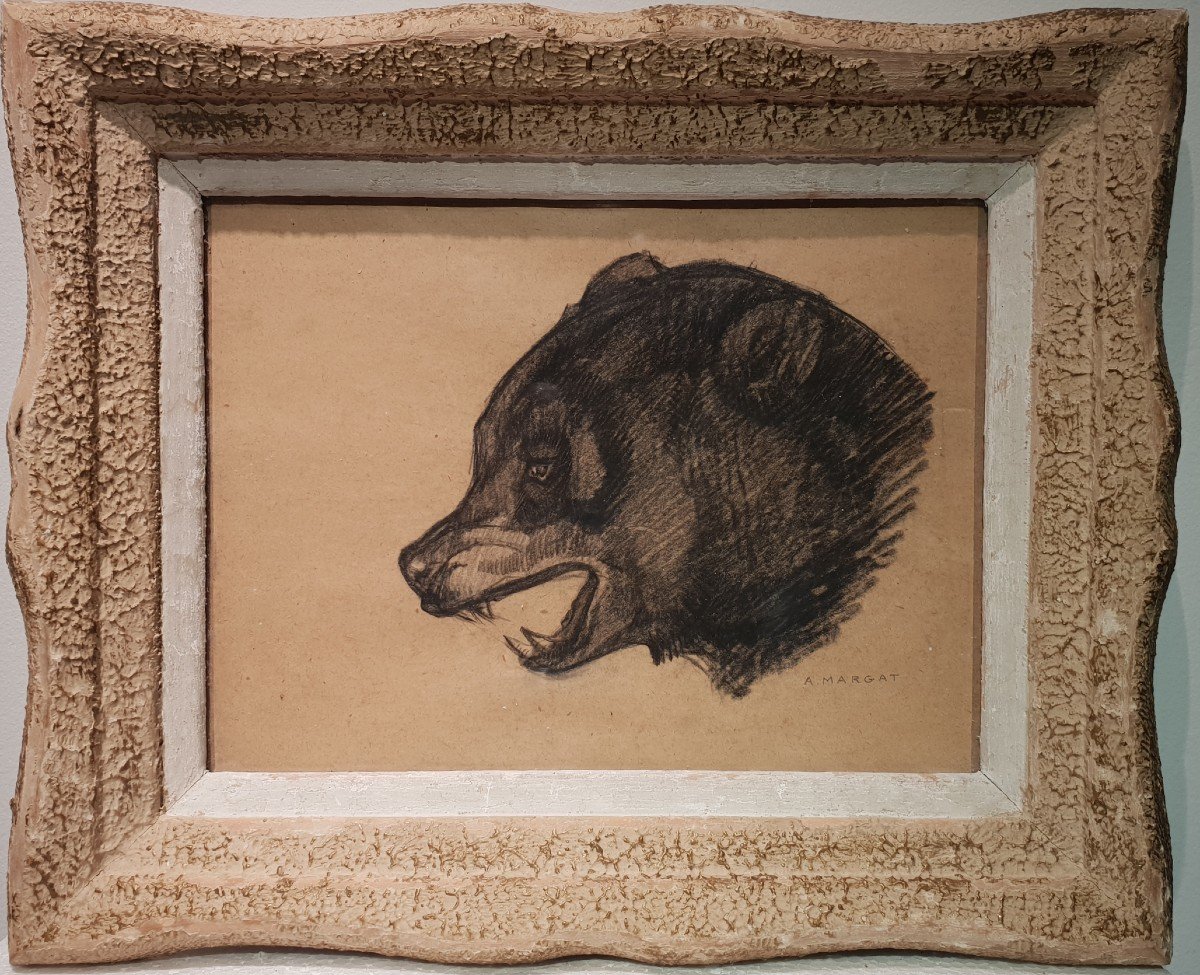 Animal Charcoal Drawing Bear By André Margat.