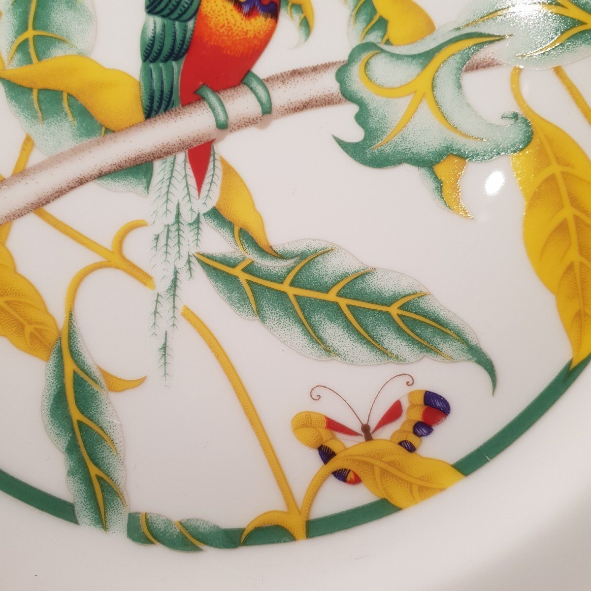 Service En Porcelaine 17 Assiettes Toucan. 20 ème Siècle -photo-4