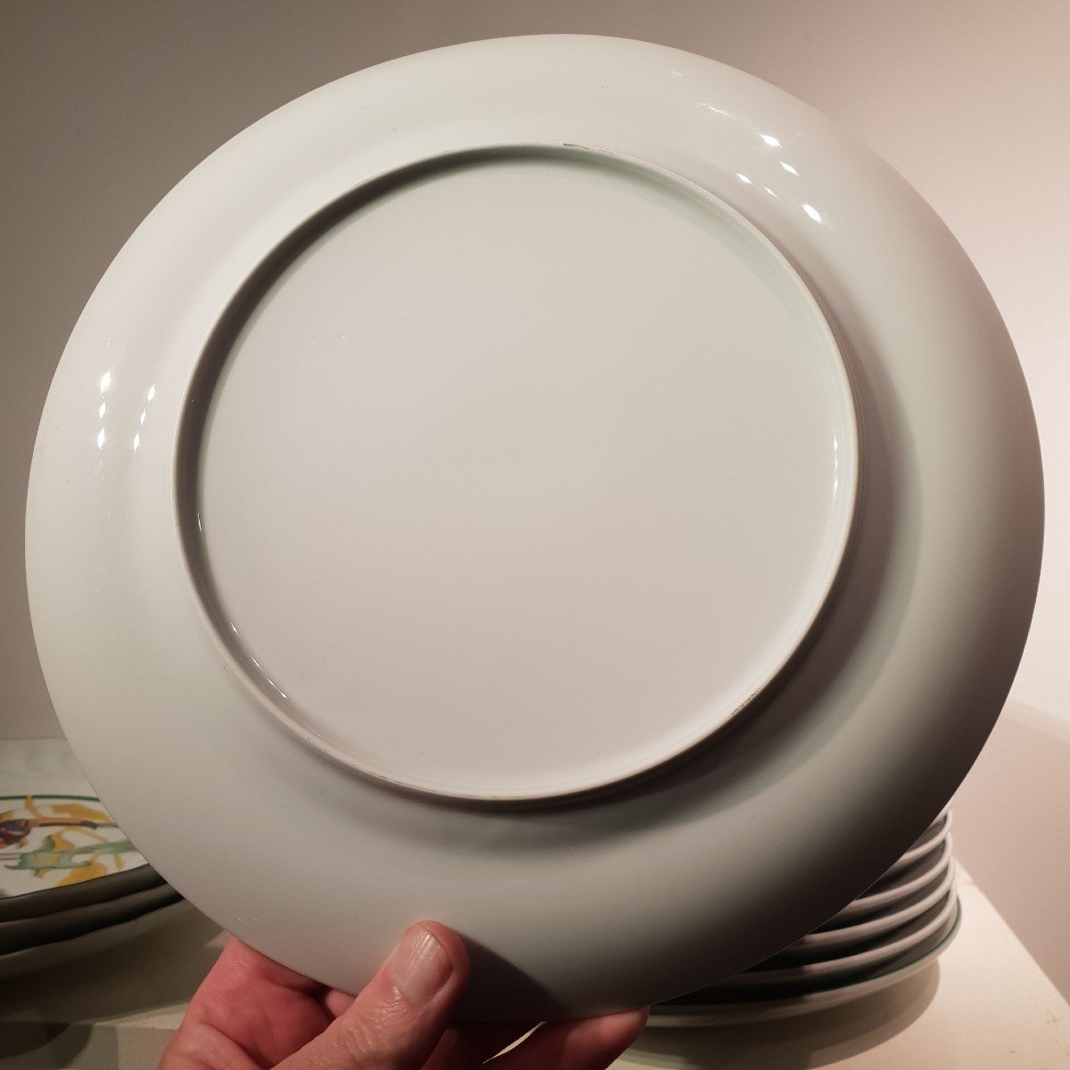Porcelain Service 17 Toucan Plates. 20th Century -photo-1